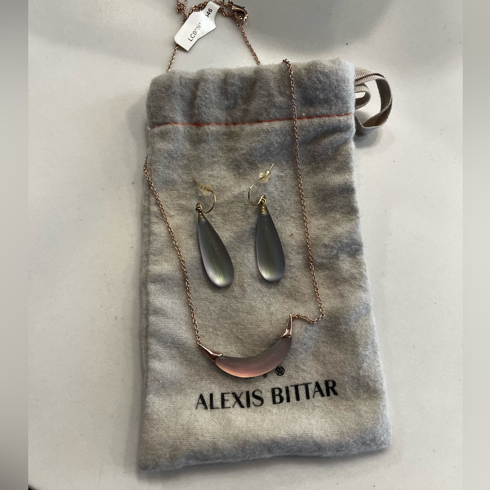 Alexis Bittar necklace and earring matching set!